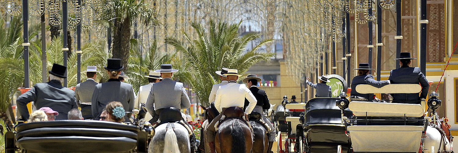 paseo caballistas