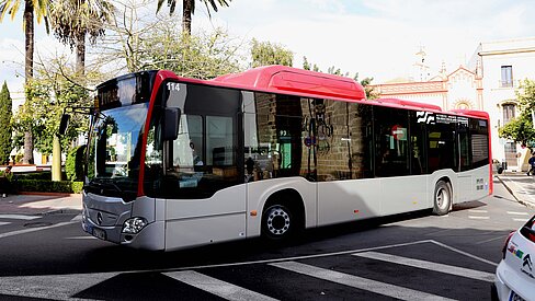 BUS