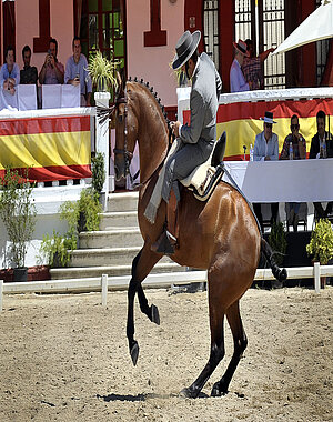 doma vaquera