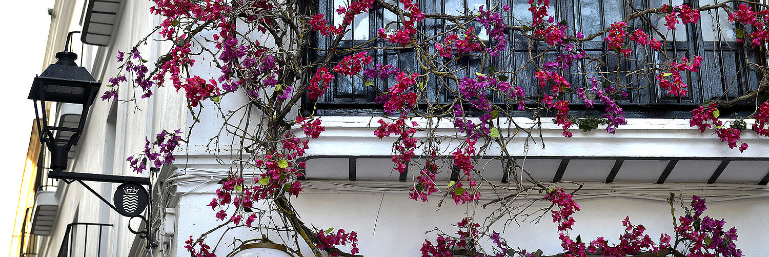 Otoño en Jerez