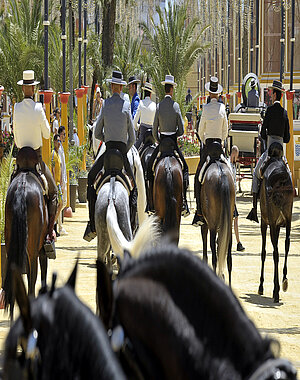 paseo caballistas