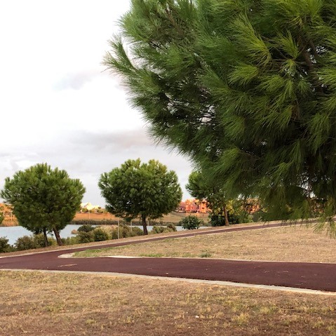 Laguna de Torrox nuevos viales