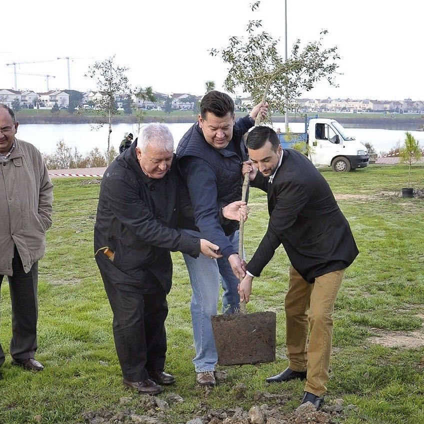 Campaña plantación árboles