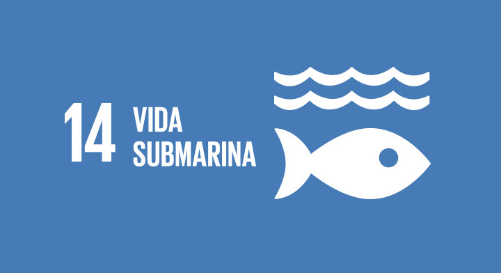 ODS numero 14