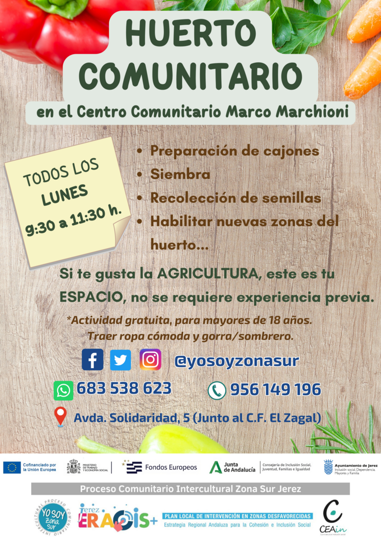 Huerto Comunitario