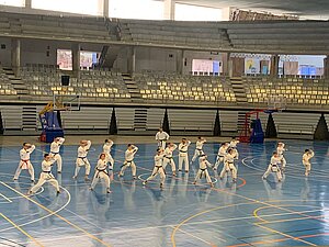 Curso intensivo de Karate