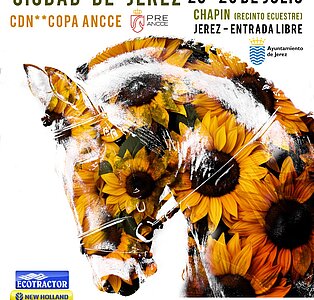 XII EQUESTRIAN WEEKEND