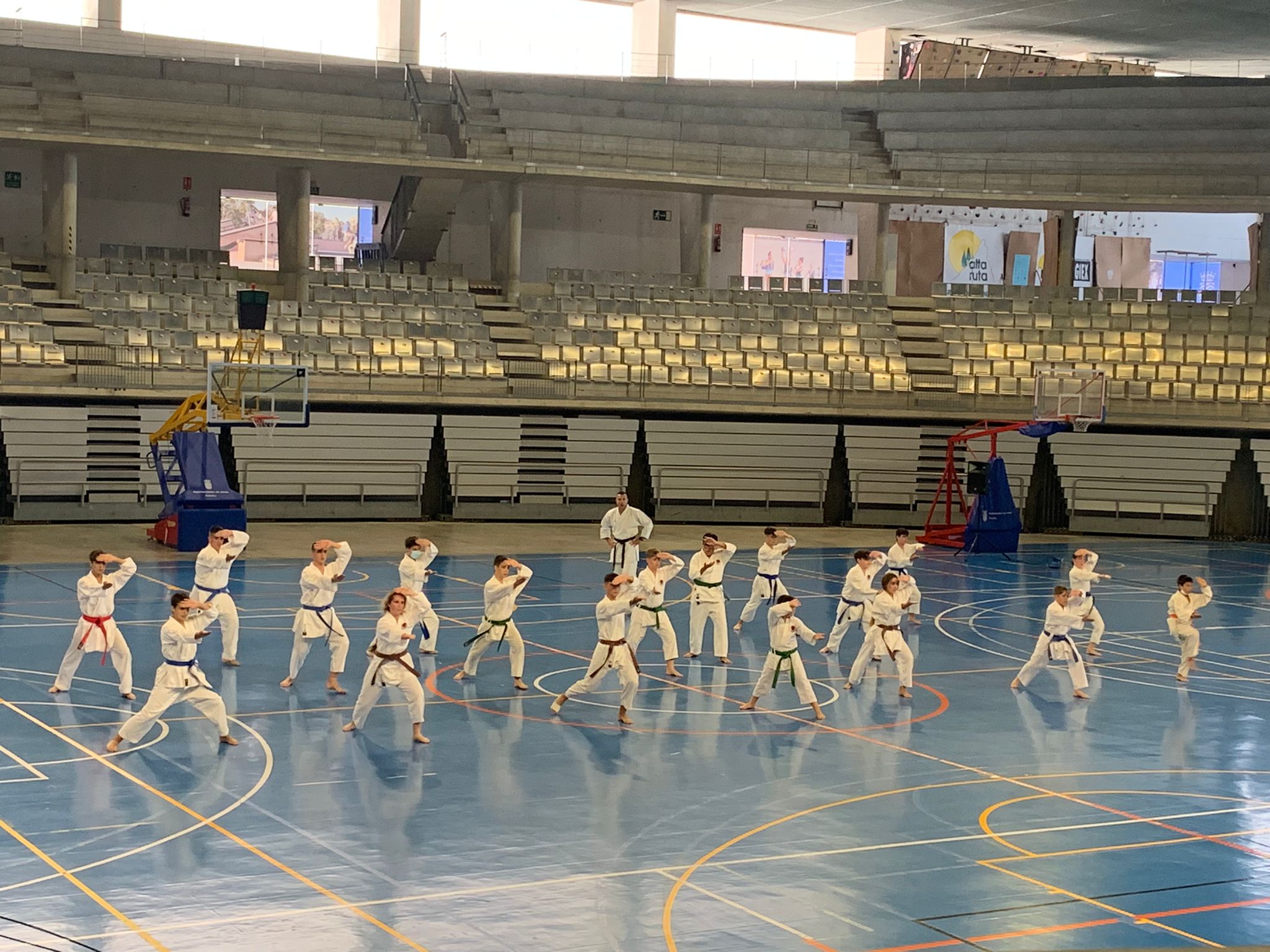 Curso intensivo de Karate