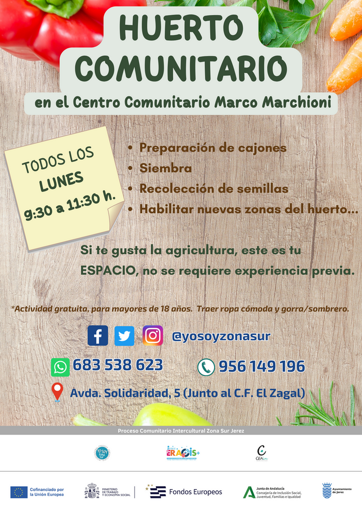 Huerto comunitario
