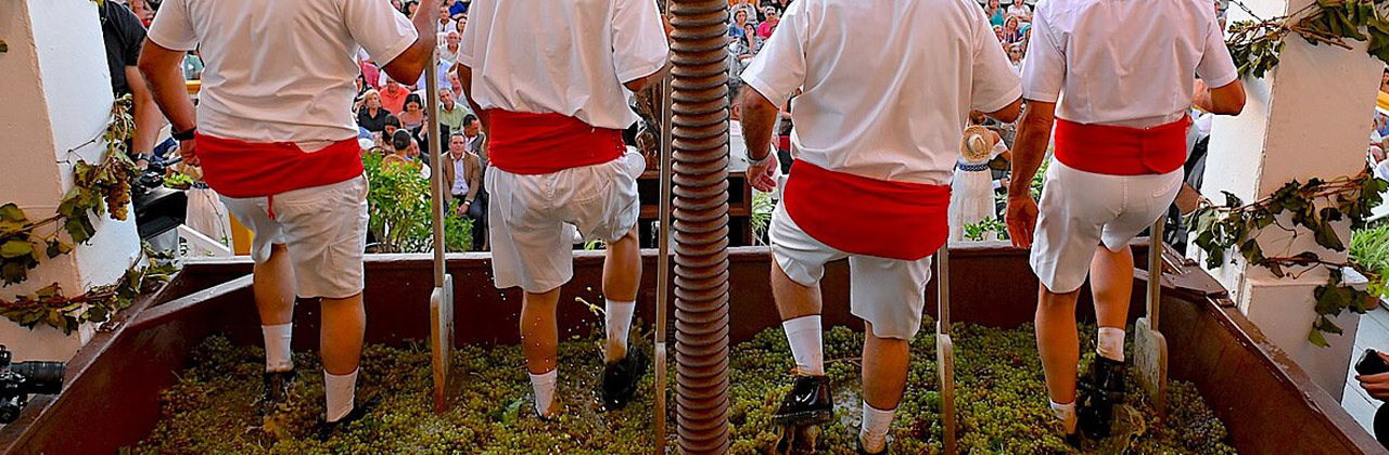 Pisa de la Uva