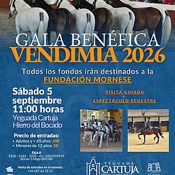 cartel