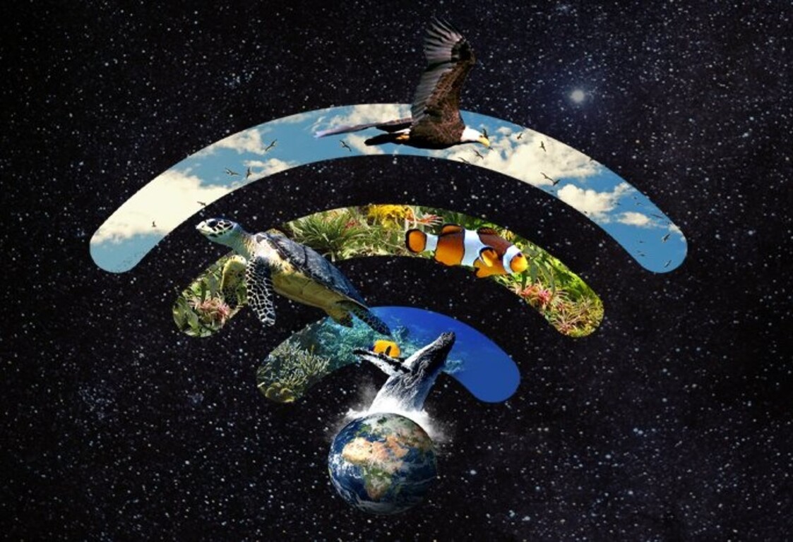Hora del Planeta