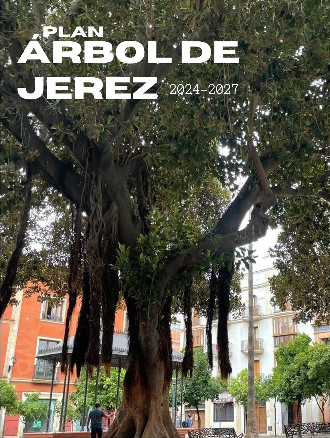 PLAN ARBOL