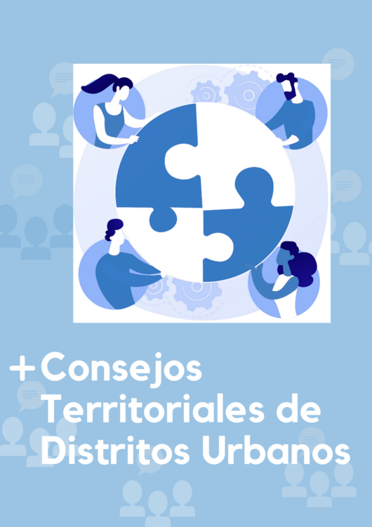 Consejos Territoriales de Distrito