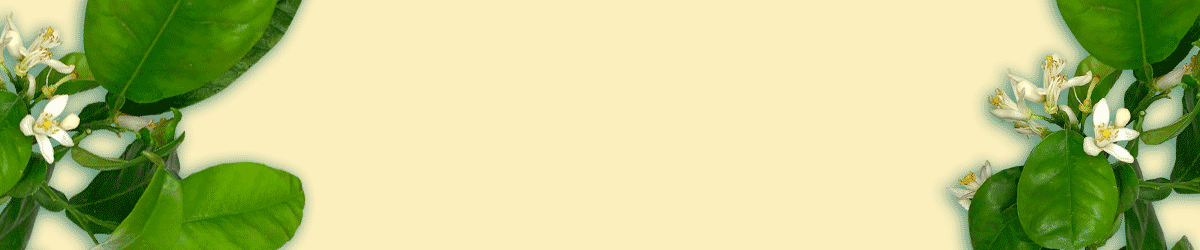 banner semana santa