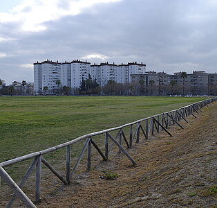 Cross Escolar