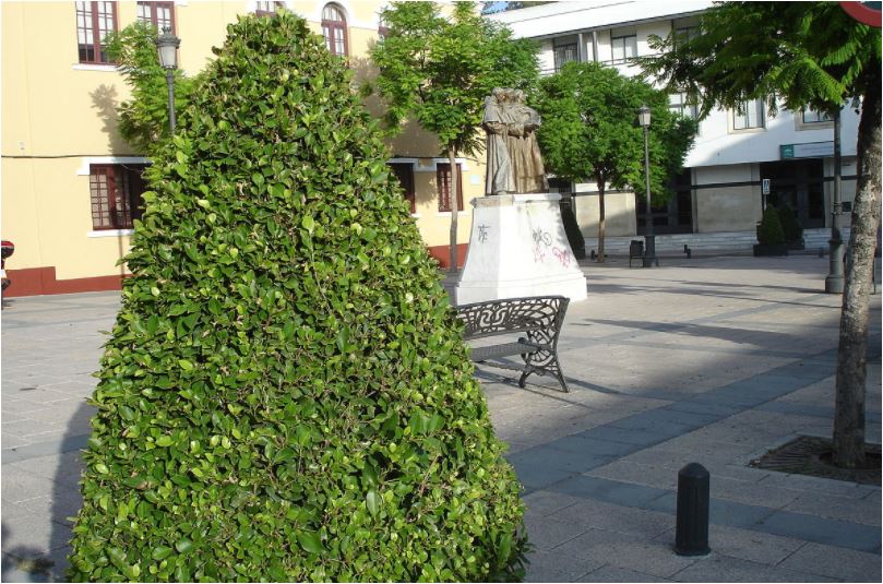 MERCED