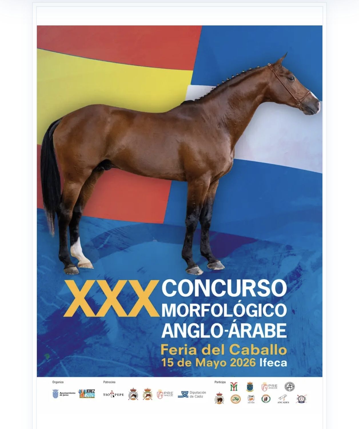 XXX Concurso Anglo Árabe