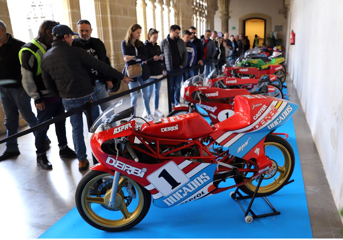 Muestra Claustros de Santo Domingo