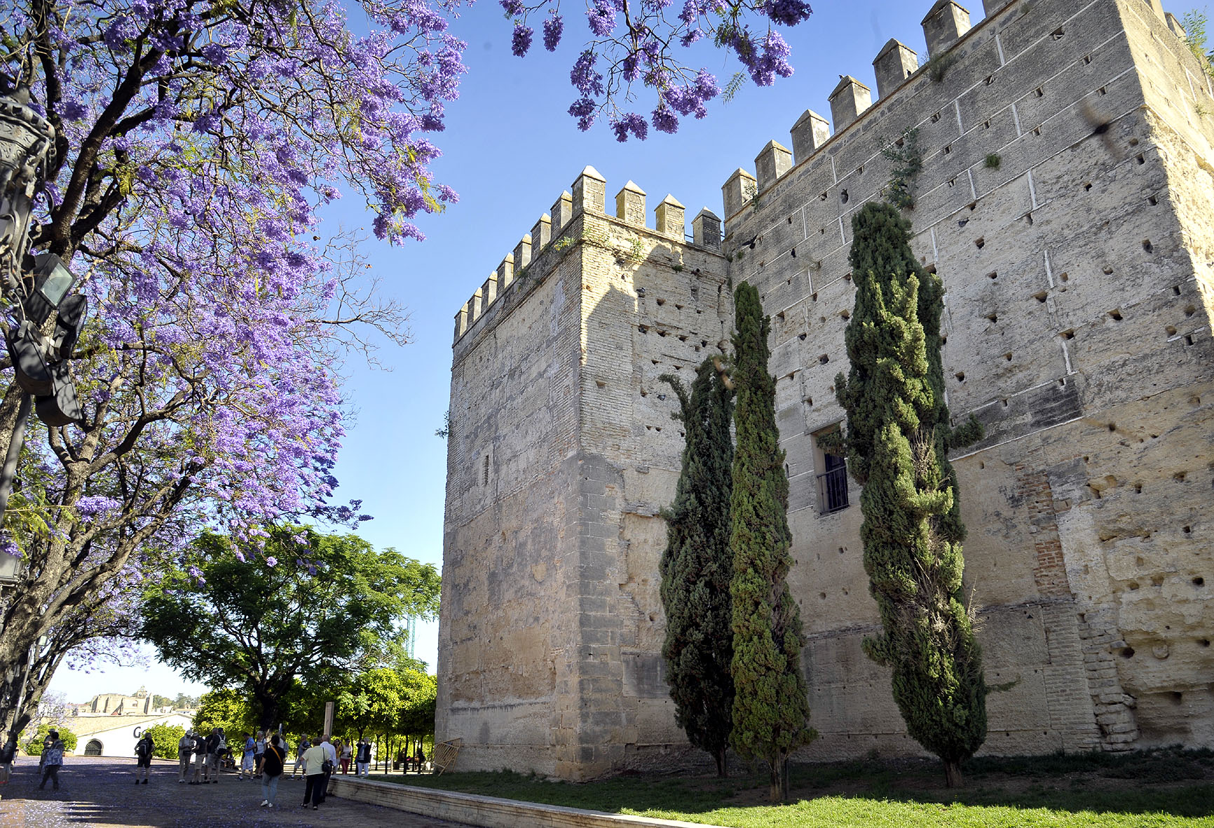 Inmediaciones del Alcázar de Jerez 