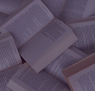 Inauguración Rincón Violeta "Francisca Gago"