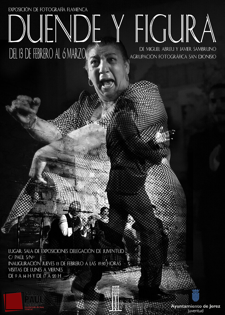 Exposicion Flamenco