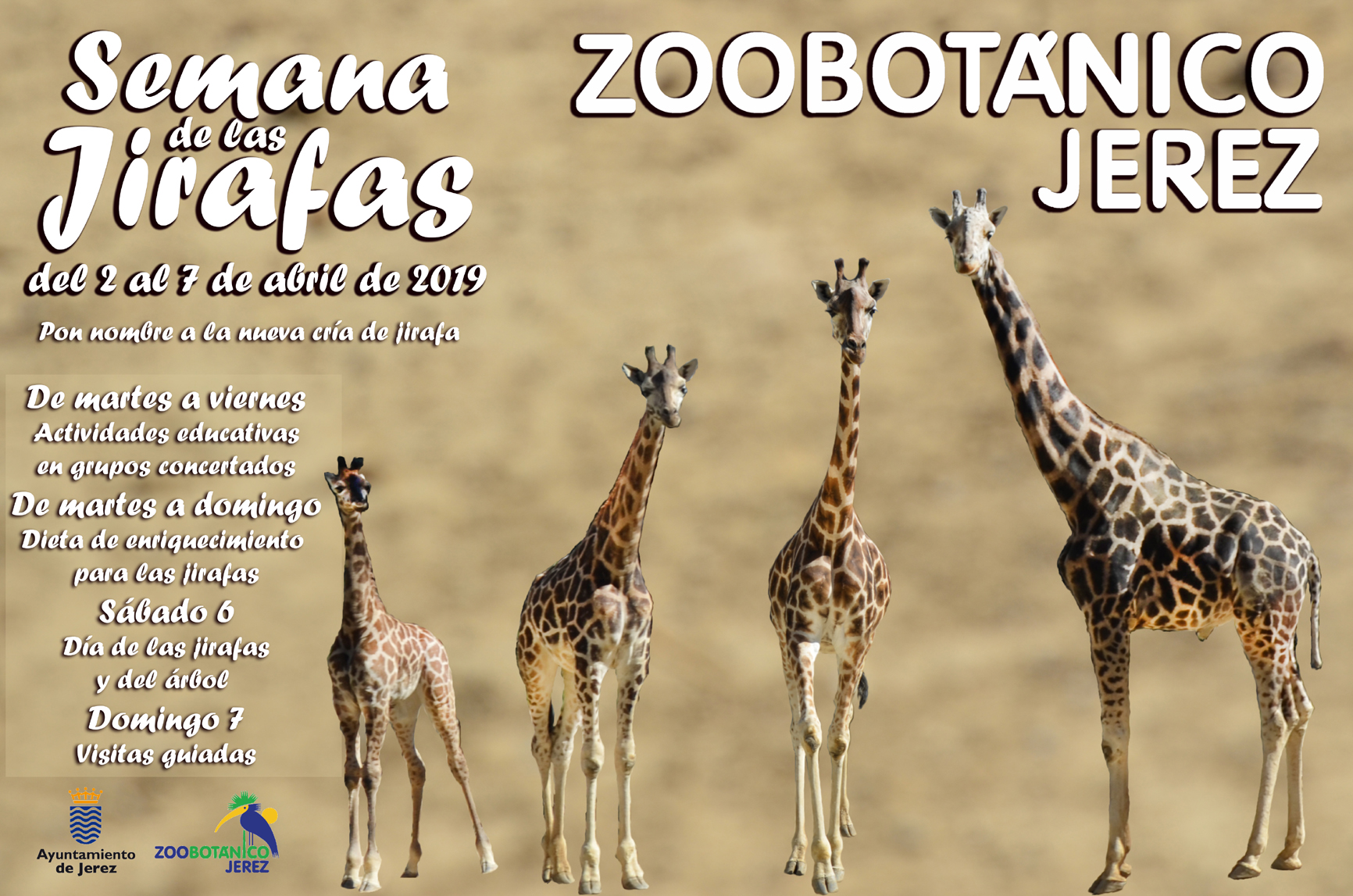Semana de las Jirafas Semana de las Jirafas