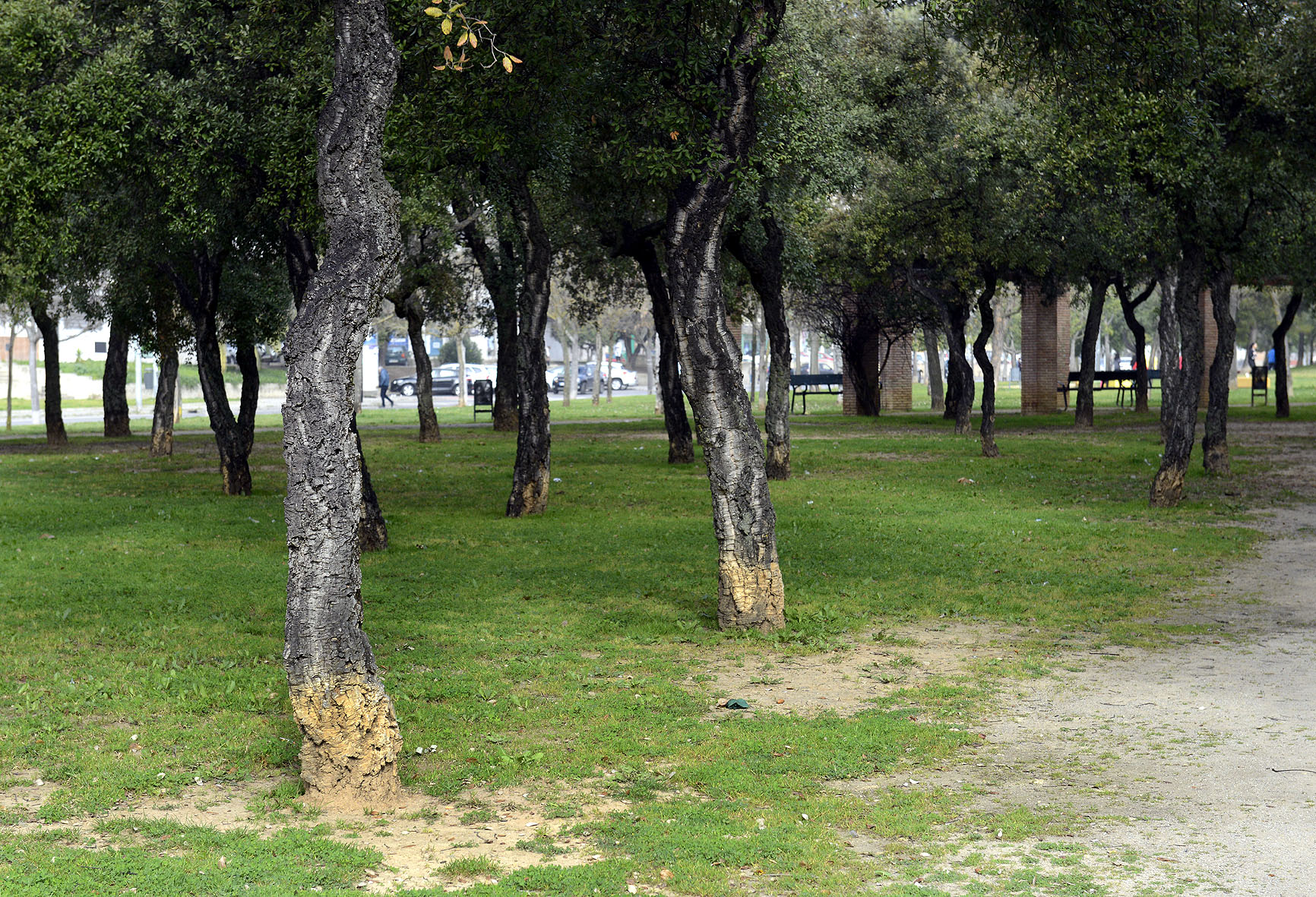 Fotografía de archivo de uno de los parques de la ciudad