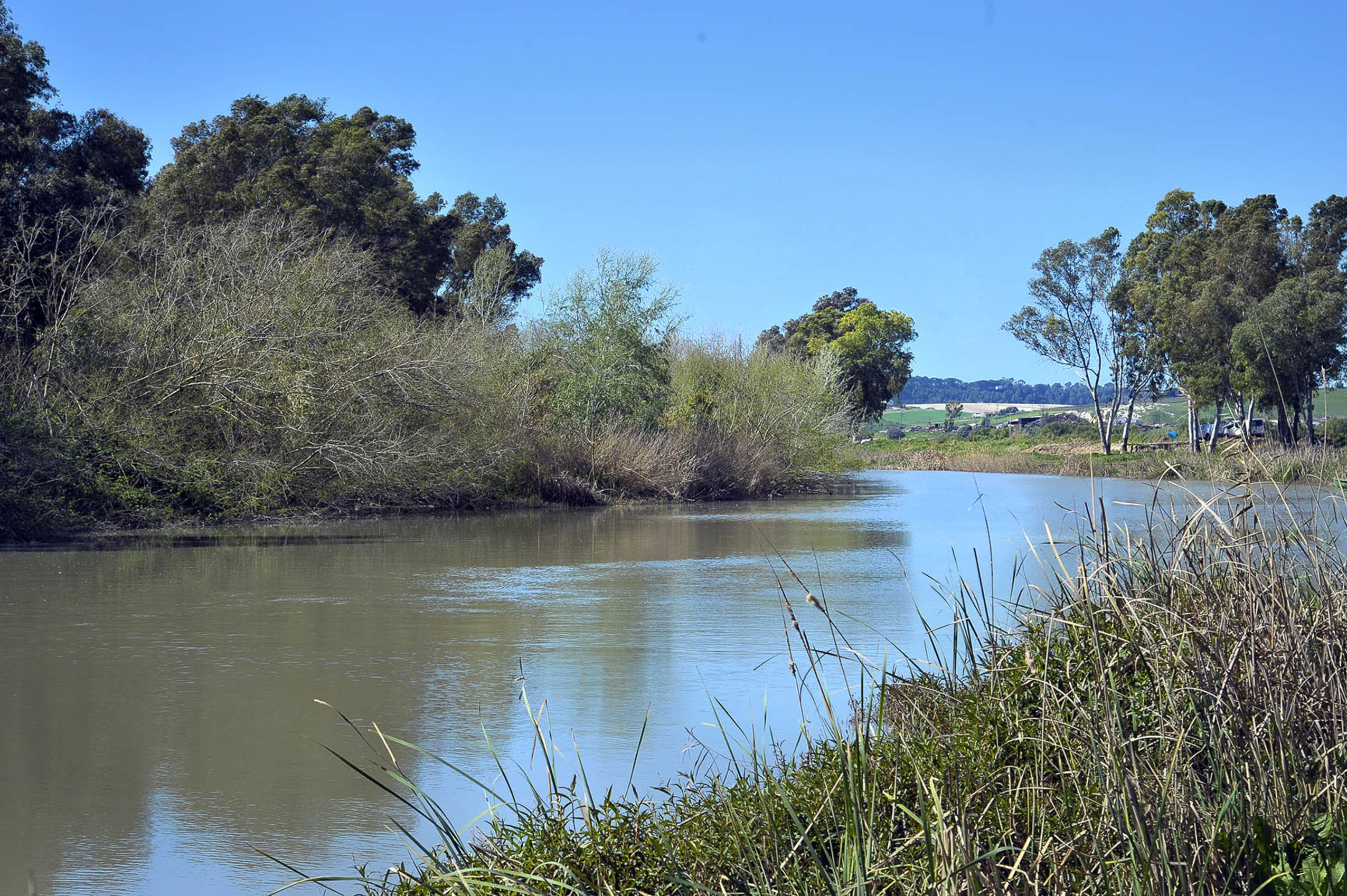 Río Guadalete