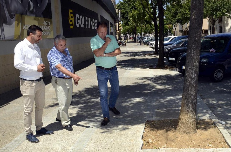 Díaz procesionaria
