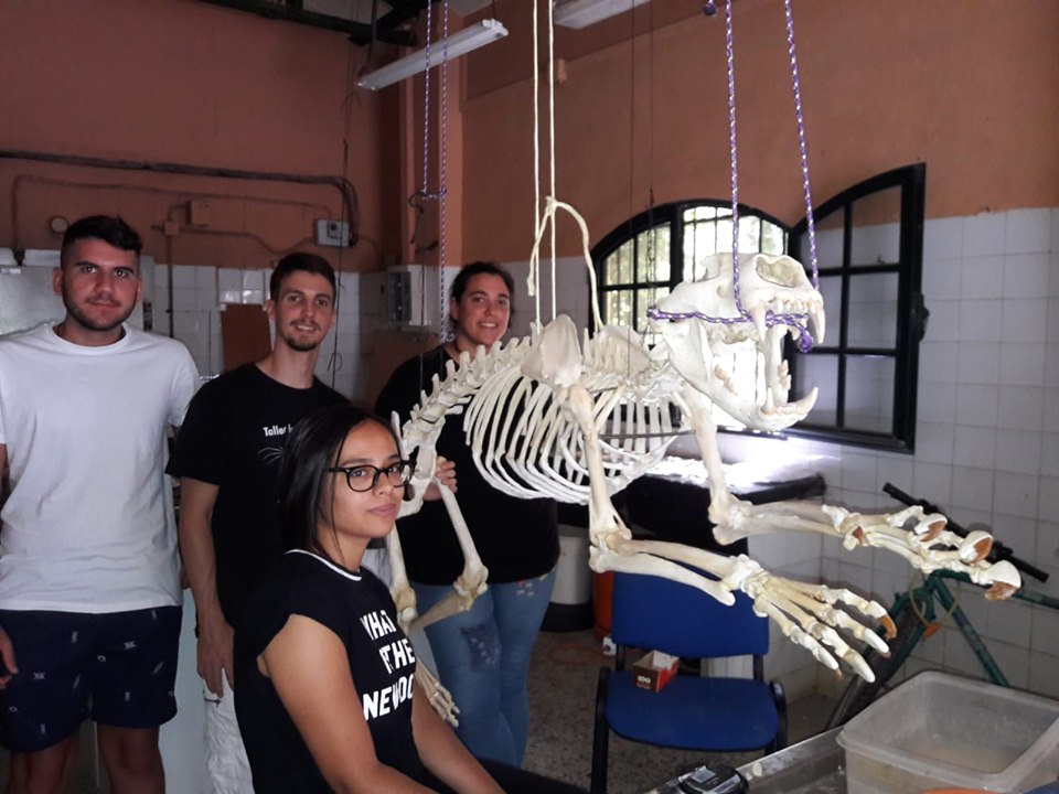 Taller Zoo