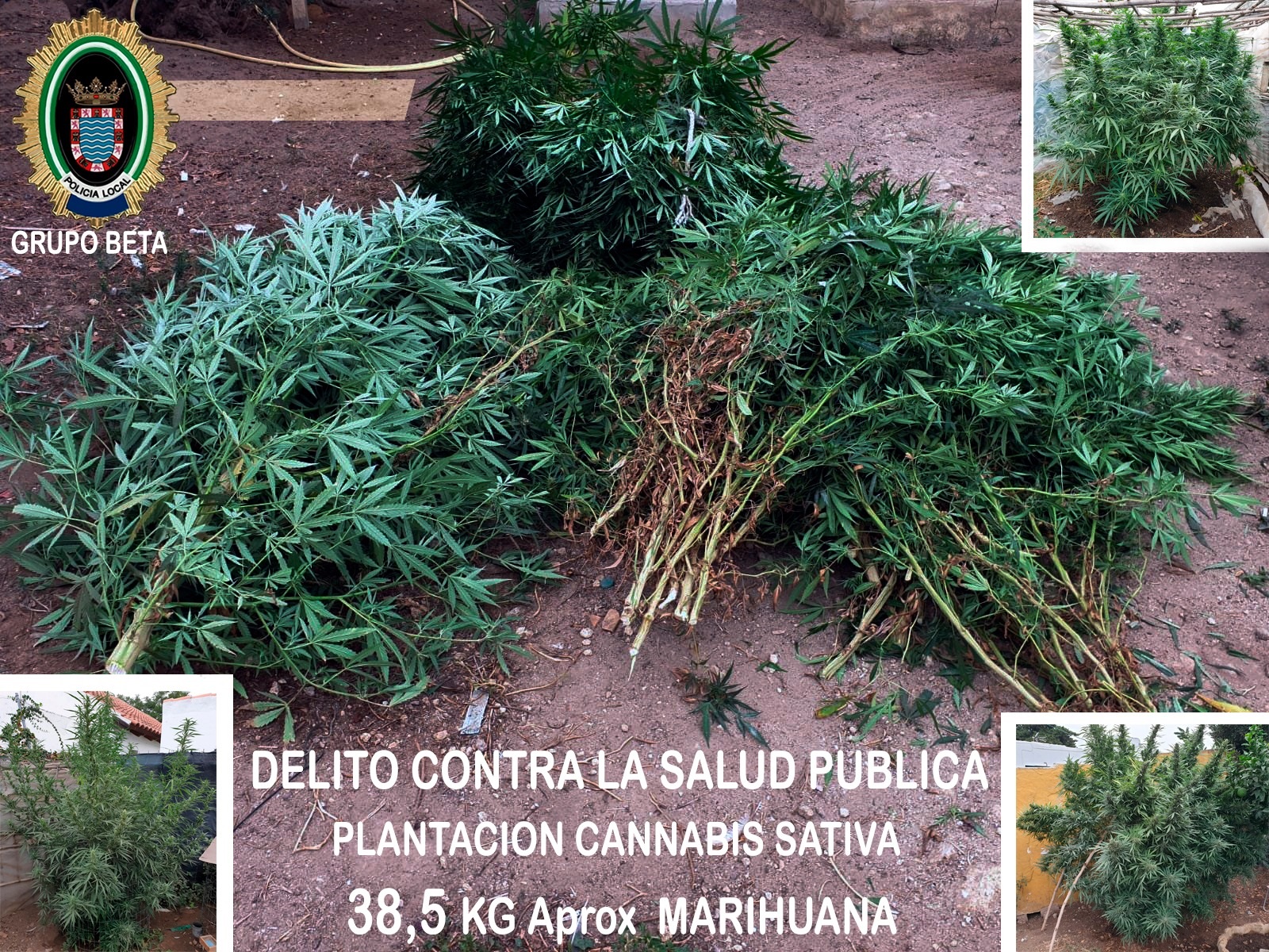 Policía Local