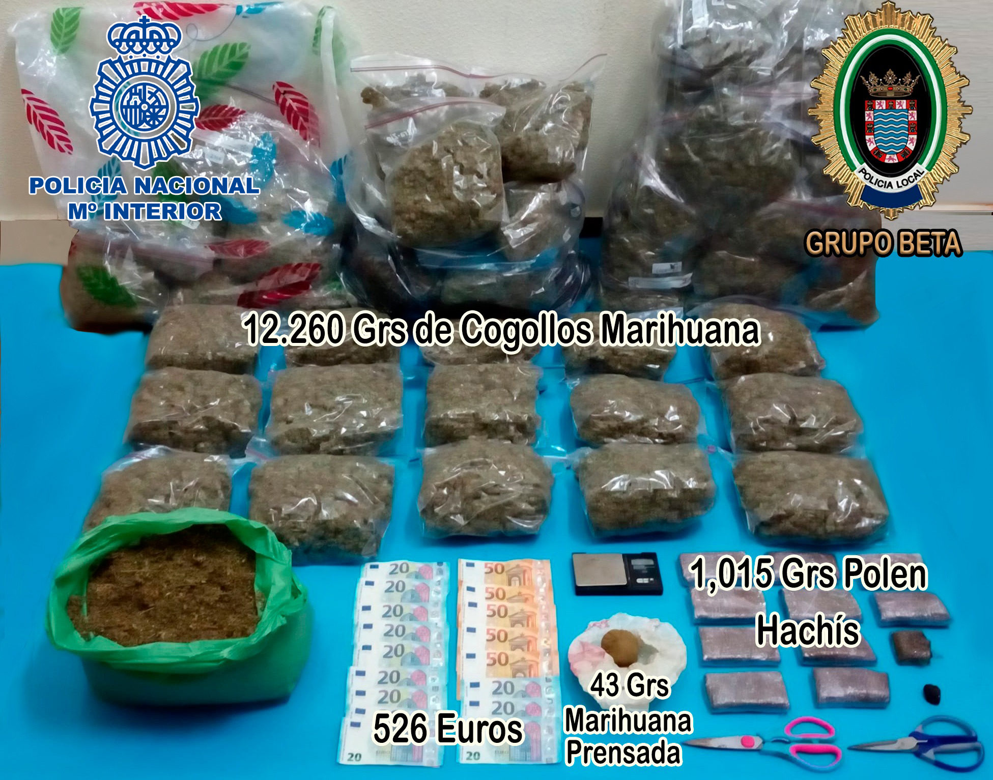 Sustancias intervenidas