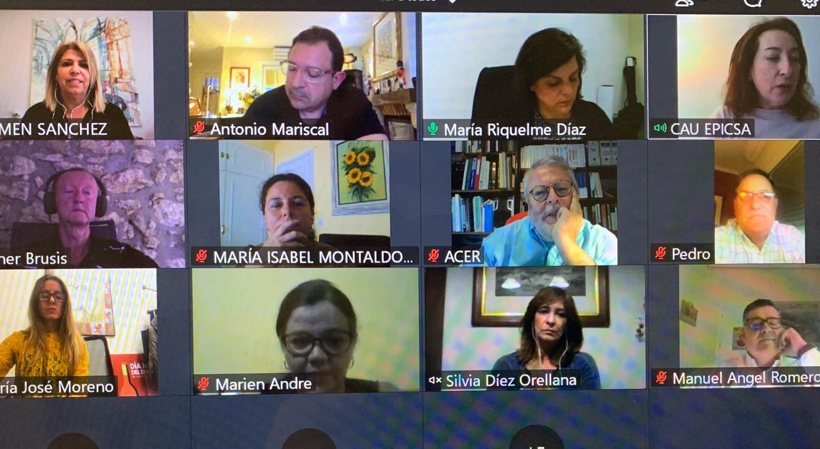 comité de expertos durante la videoconferencia