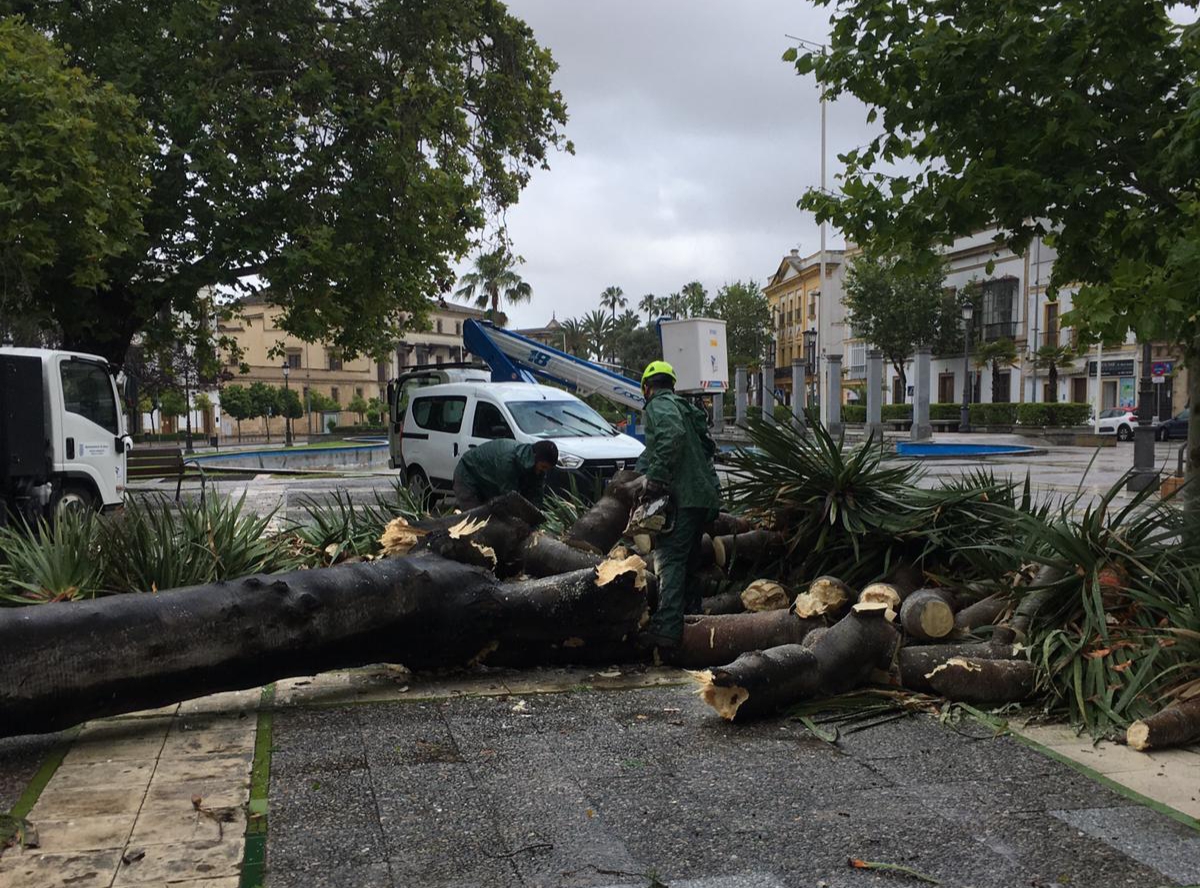 Incidencia en la plaza del Mamelón