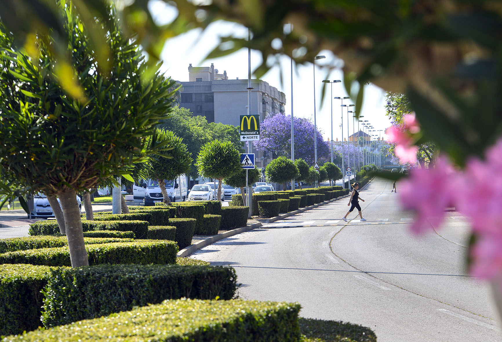 Fotografía de la avenida Lola Flores