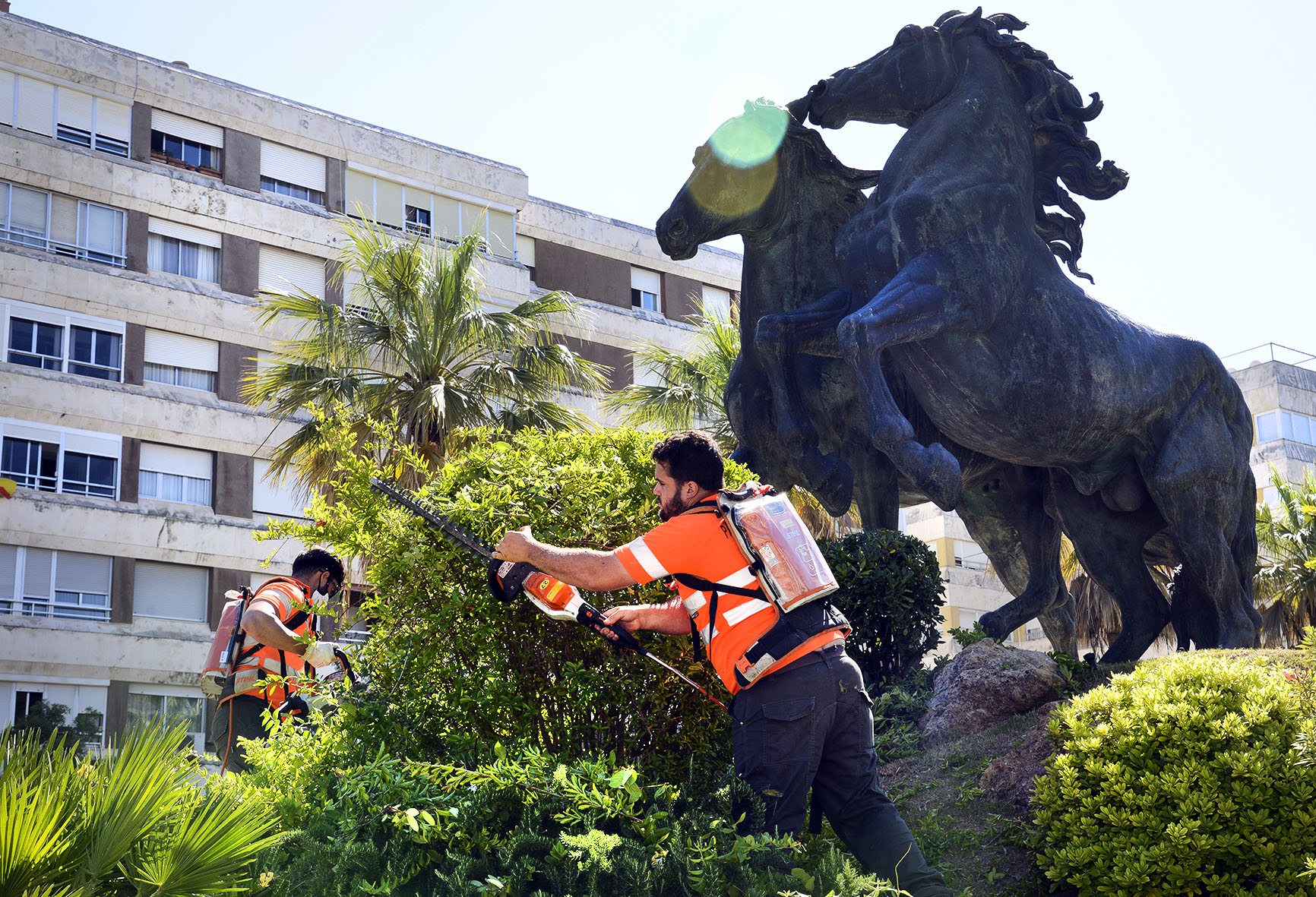 Labores de mejora en zonas verdes de la plaza del Caballo