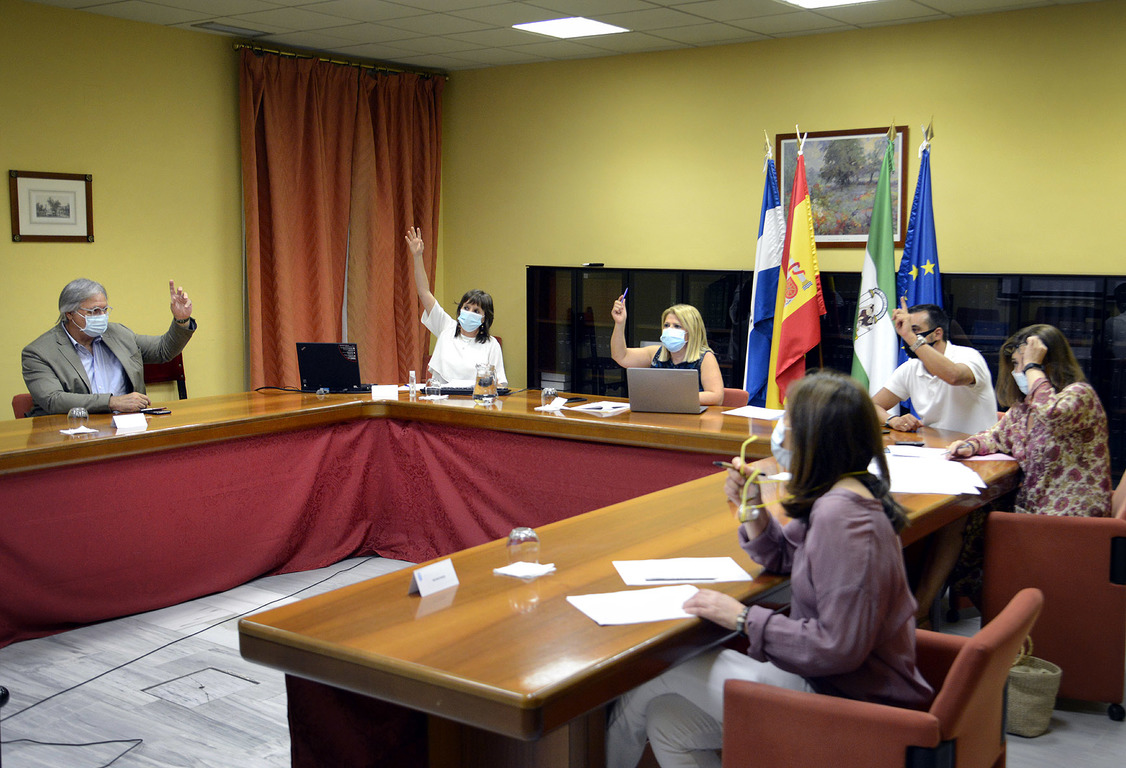 Pleno Extraordinario