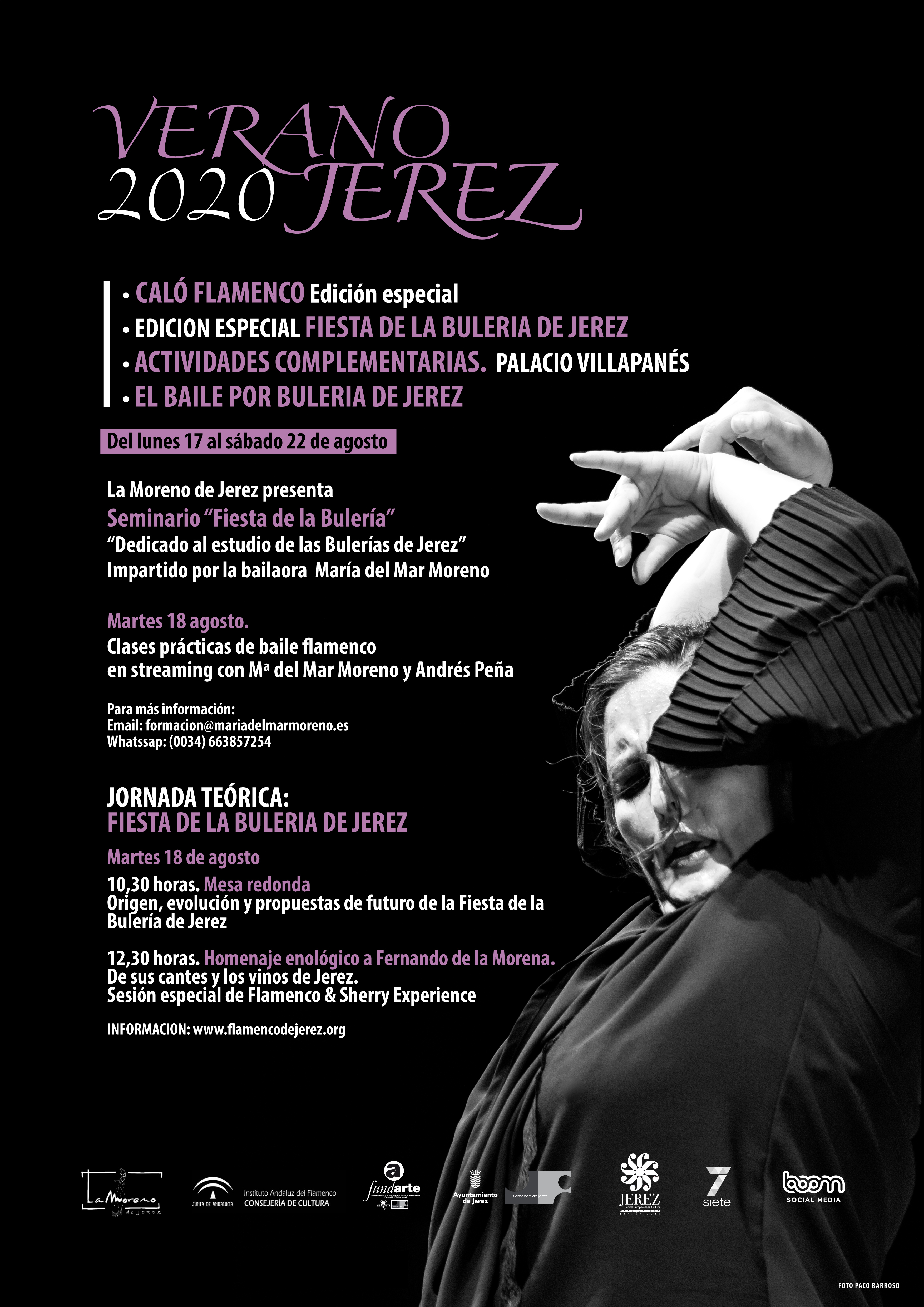 Cartel Fiesta Bulería