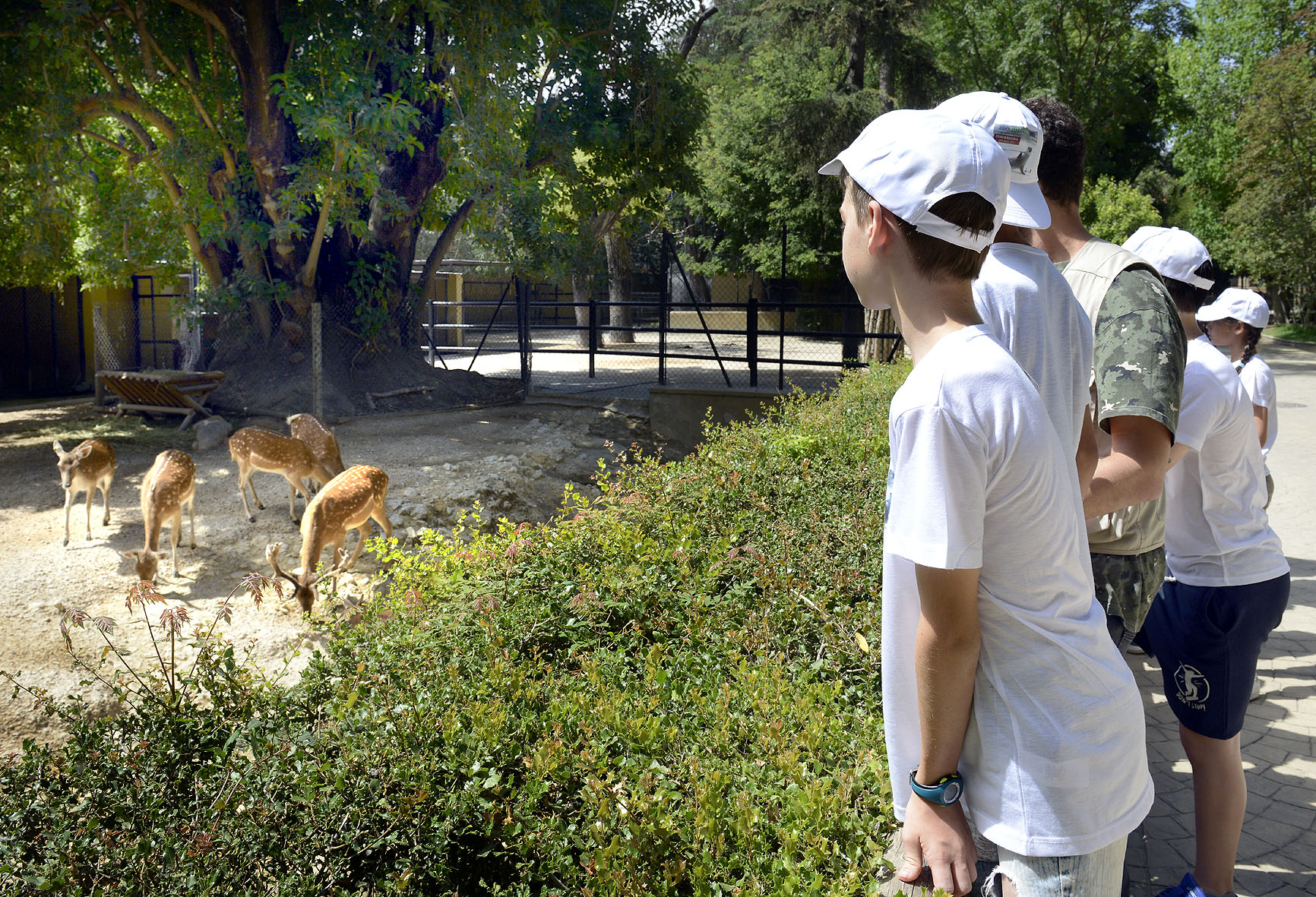 Fotografía de archivo.