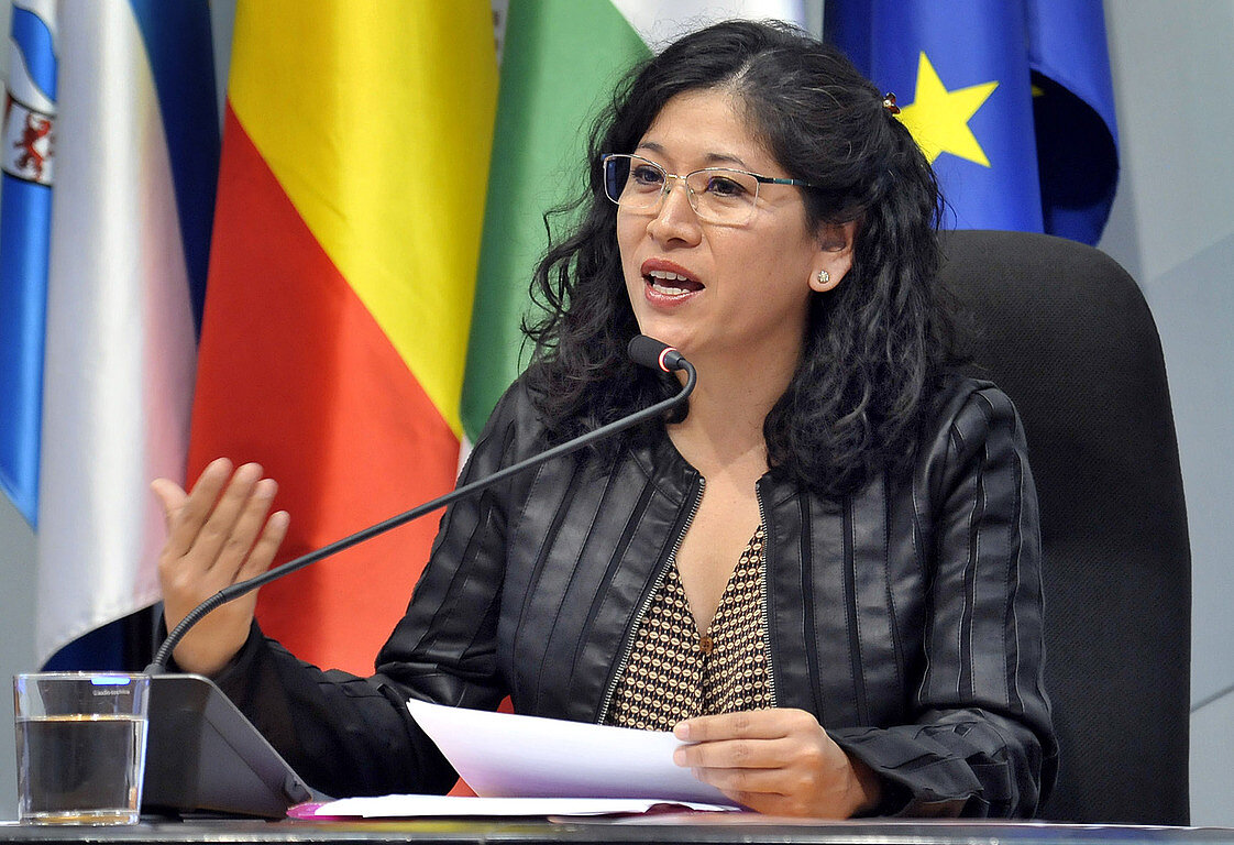 delegada de Vivienda, Ana Hérica Ramos, en comparecencia anterior Ana Hérica Ramos