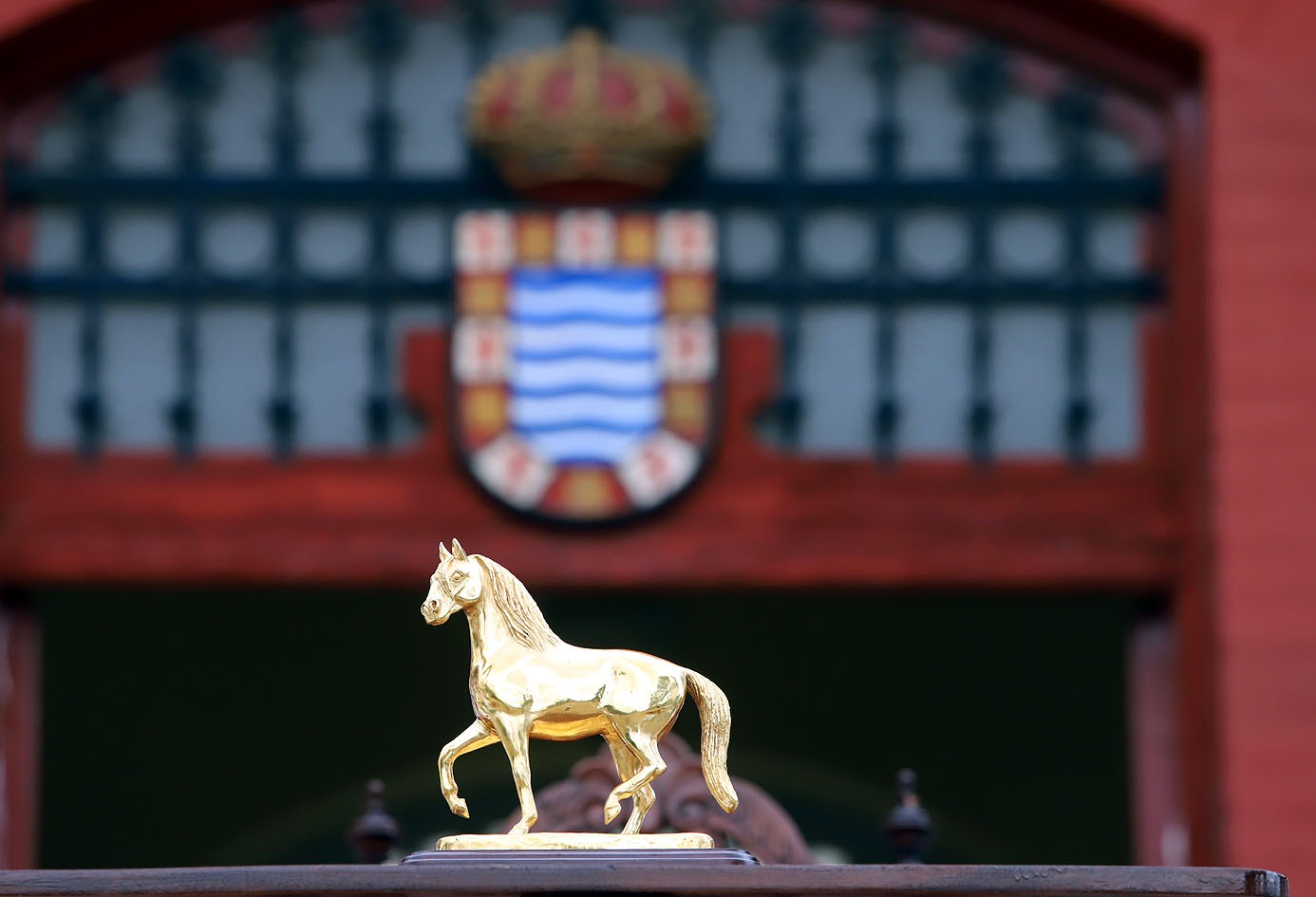 Caballo de Oro