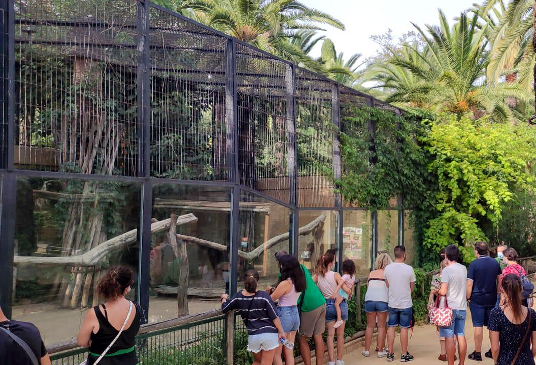 Paseos al atardecer en el Zoobotánico
