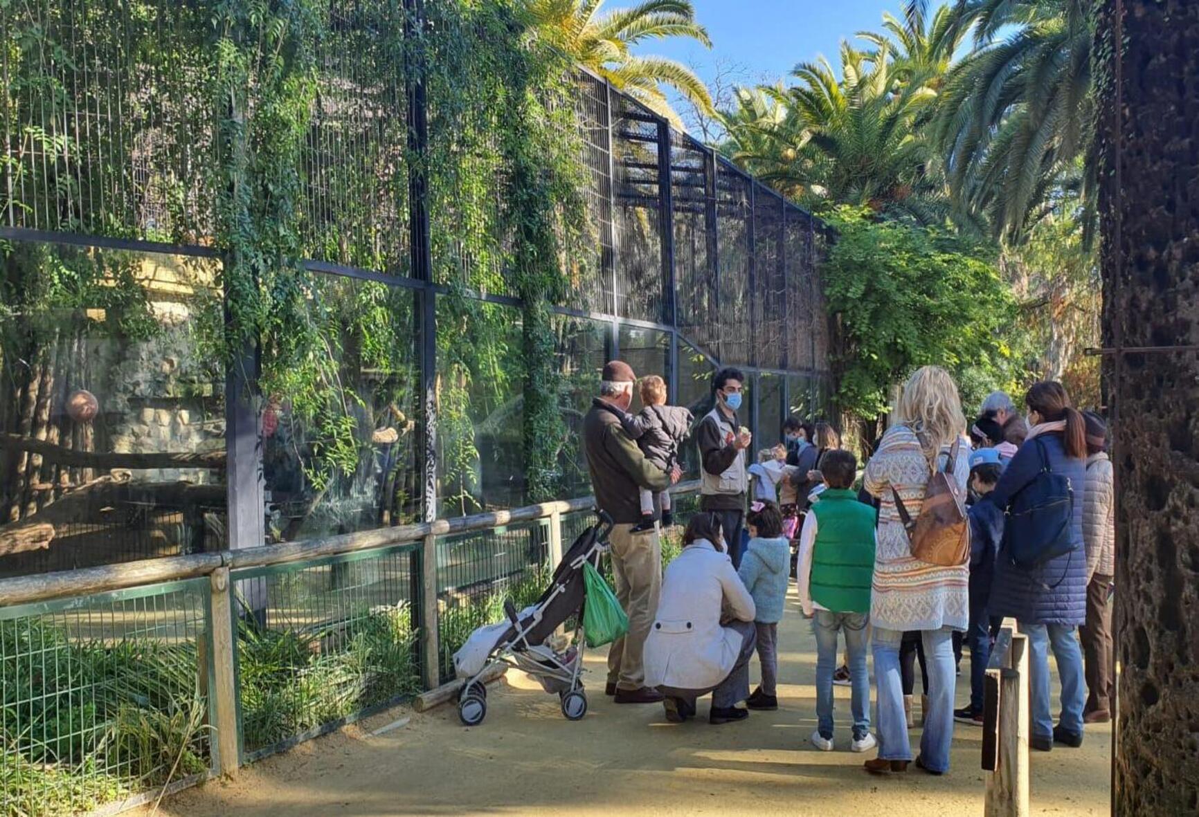 El Zoo consigue en 2021 su segundo mejor registro anual de visitantes desde  los últimos 8 años - Ayuntamiento de Jerez - Página oficial