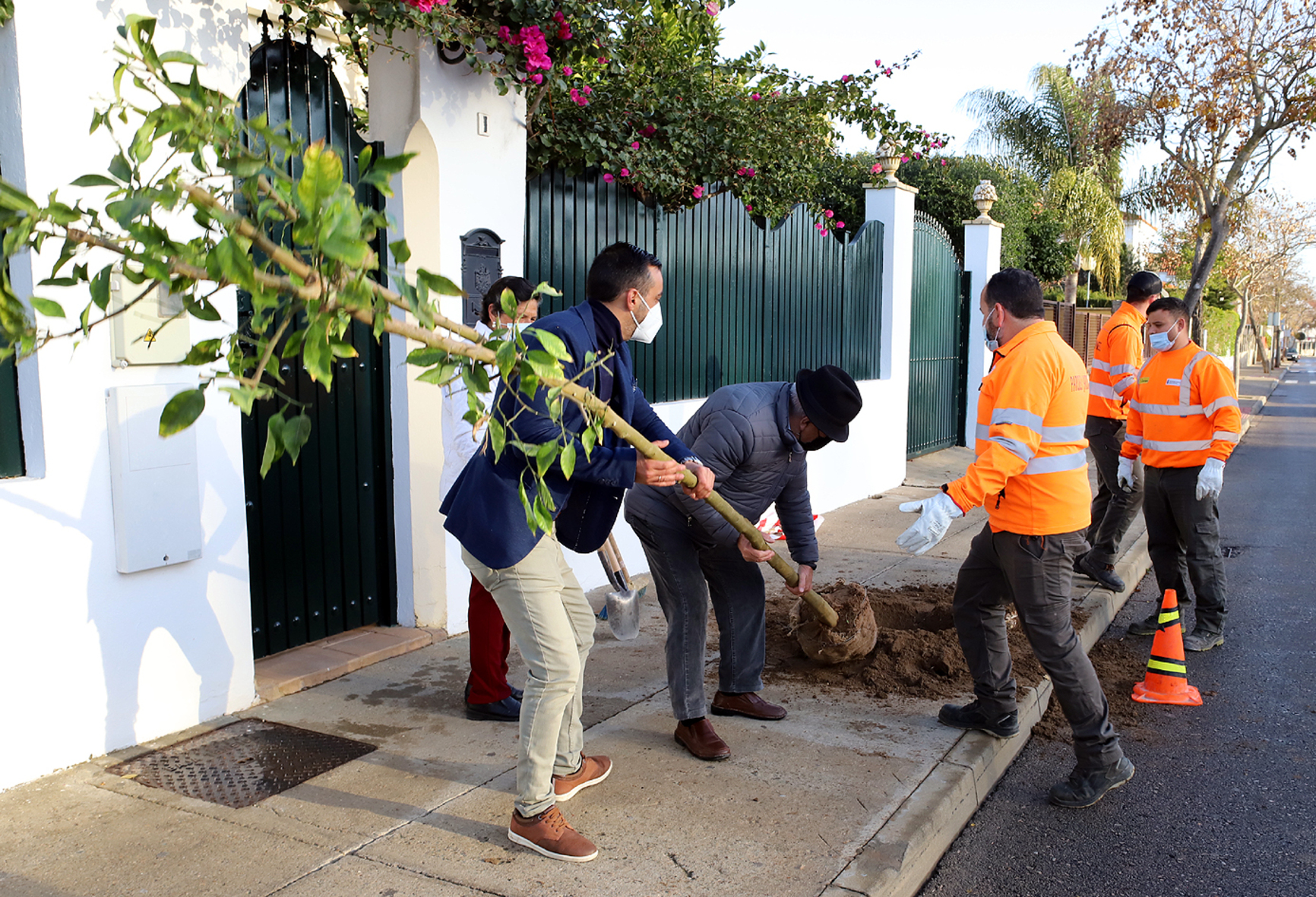 VII Campaña de plantación de arbolado