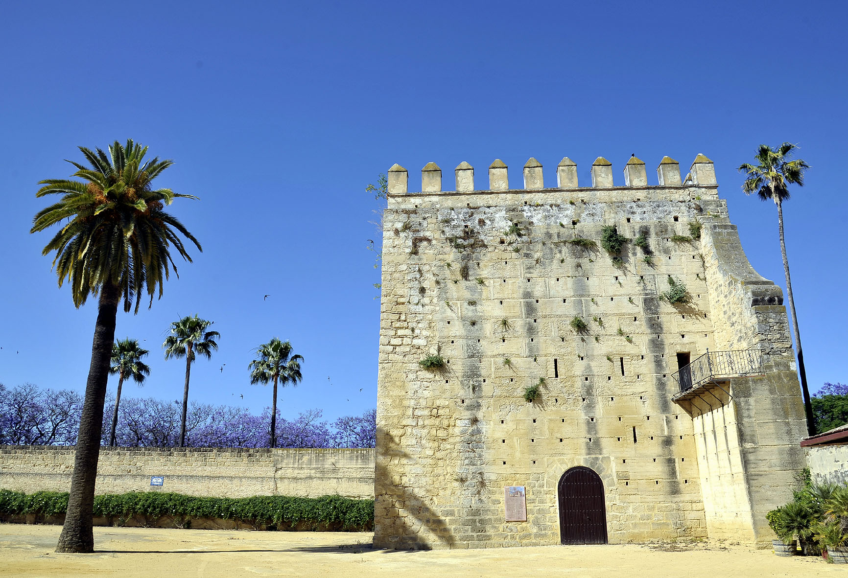 Visitas Torre Ponce de León