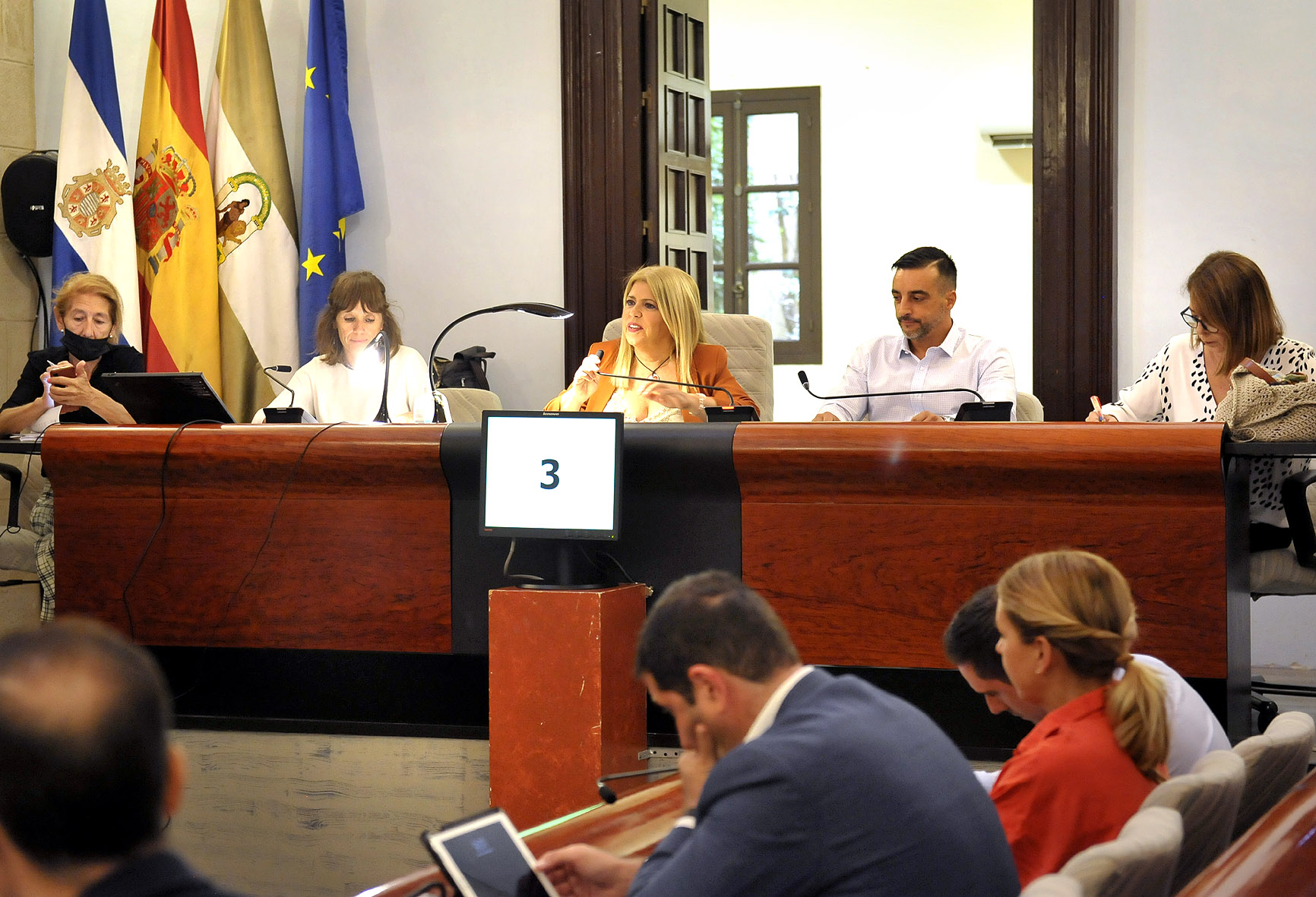 Alcaldesa Pleno