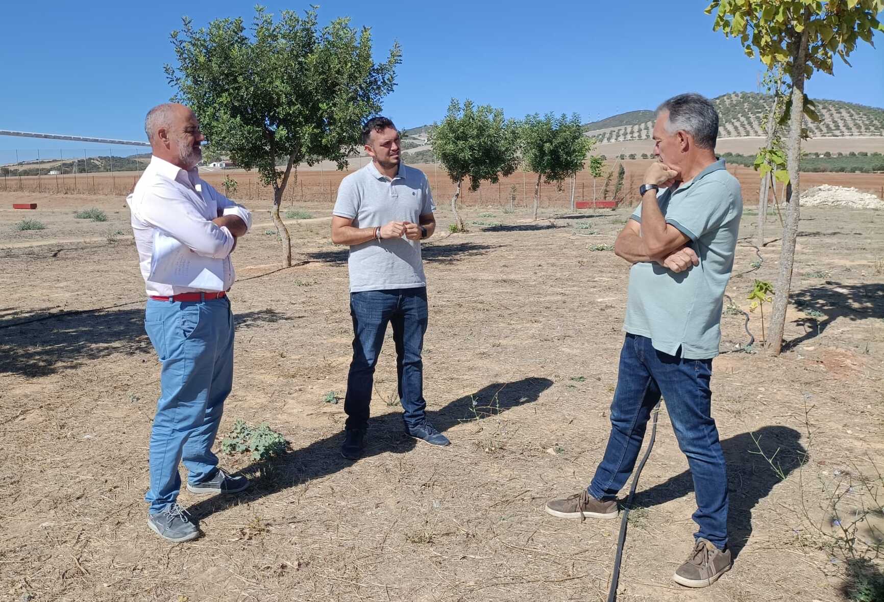 Nuevo parque infantil de Gibalbín