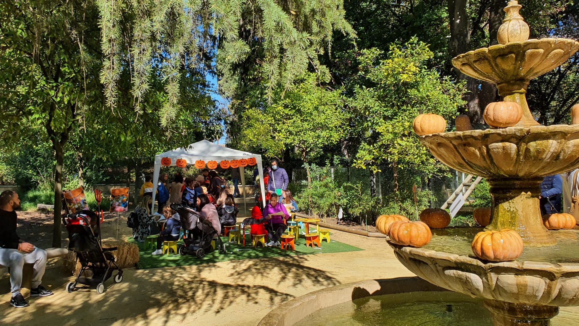 Halloween 'terroríficamente divertido' en el Zoo