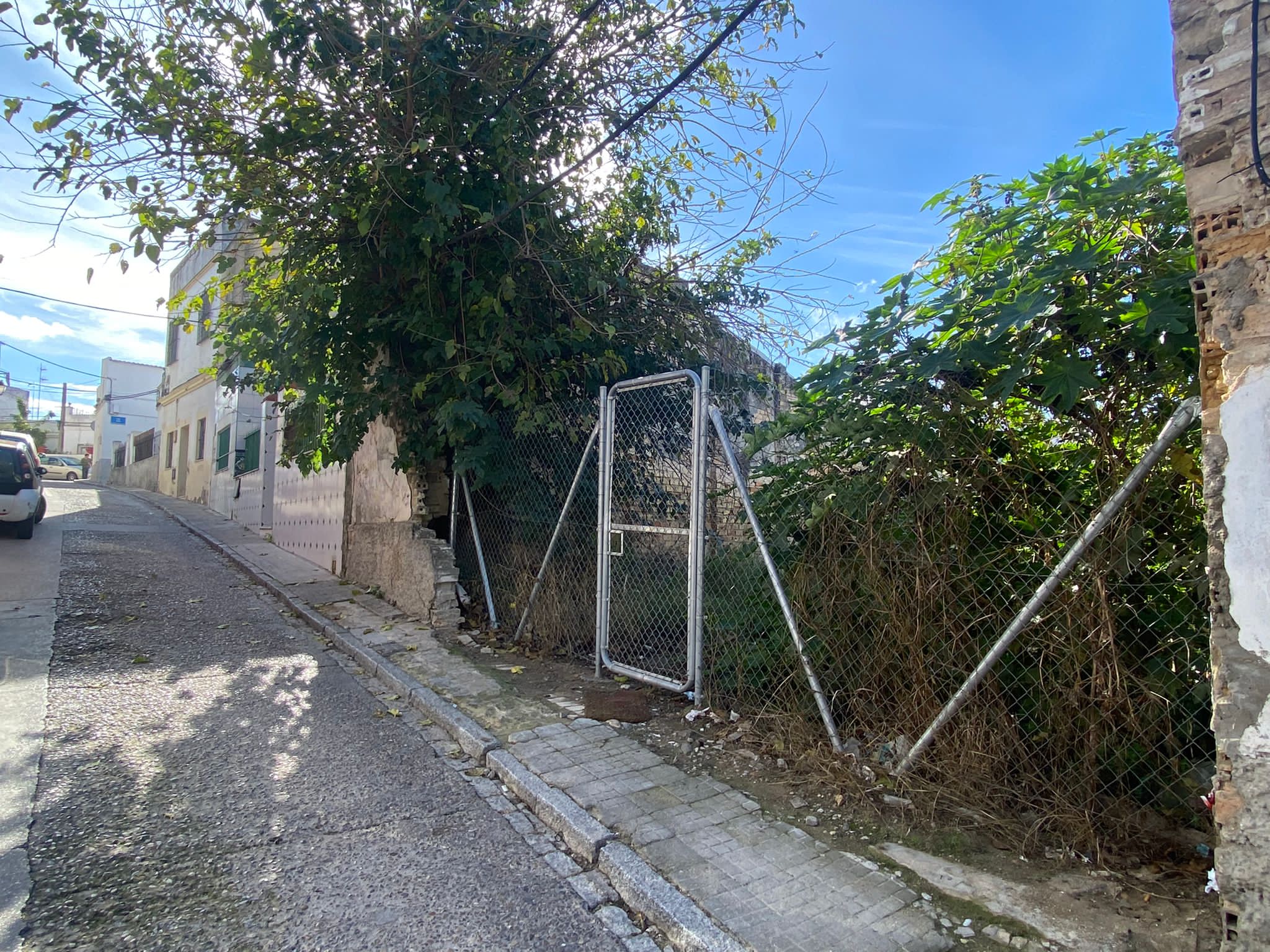 Calle Pedro Norlasco